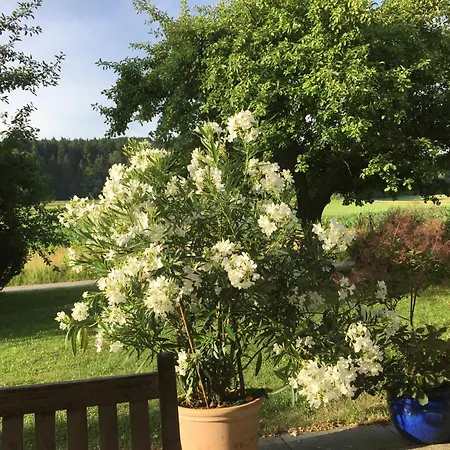 Haus Irmgard Bad Endorf